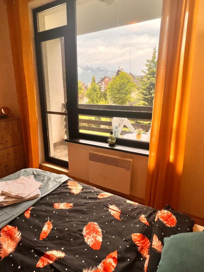 Cosy Studios With Mountain View Near Bansko Ράζλογκ Εξωτερικό φωτογραφία